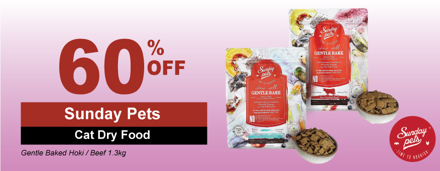 Sunday Pets Cat Dry Food Promo